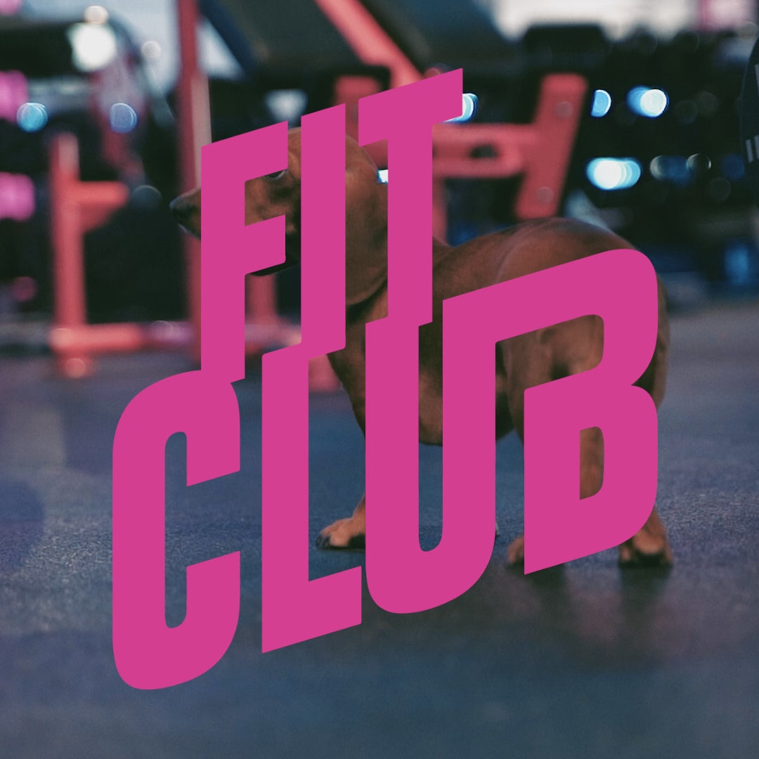 Fit Club Las Vegas: Not Your Average Gym | Voted Best Gyms Las Vegas ...